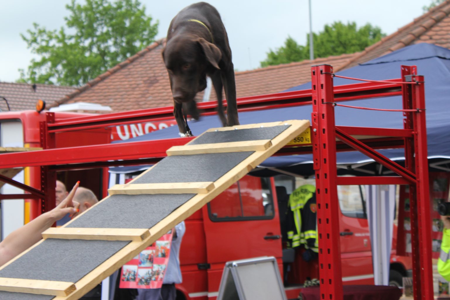Rettungshundearbeit 9 - Aufkleber Rettungshundearbeit 9 - Aufkleber